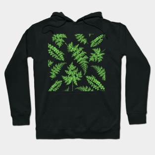 Ferns Hoodie